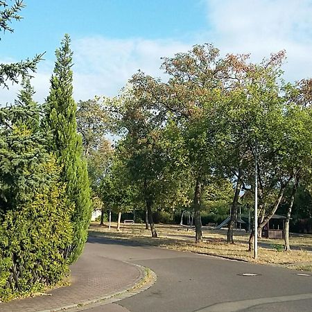 Apartmán An Den Linden 31 Lipsko Exteriér fotografie