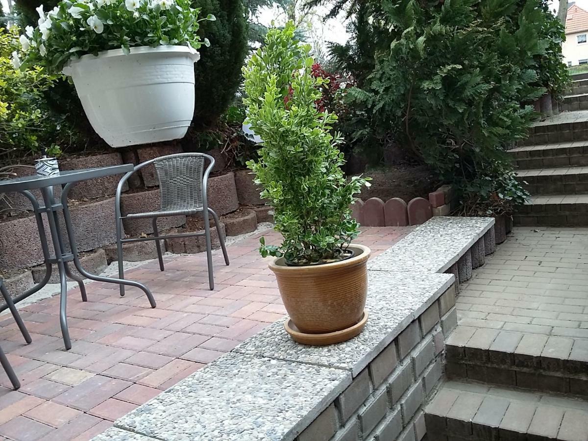 Apartmán An Den Linden 31 Lipsko Exteriér fotografie